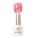 Born Pretty Born Pretty Wine Red Jelly Gel Polish 1