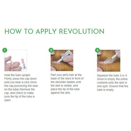 Revolution (selamectin) 4