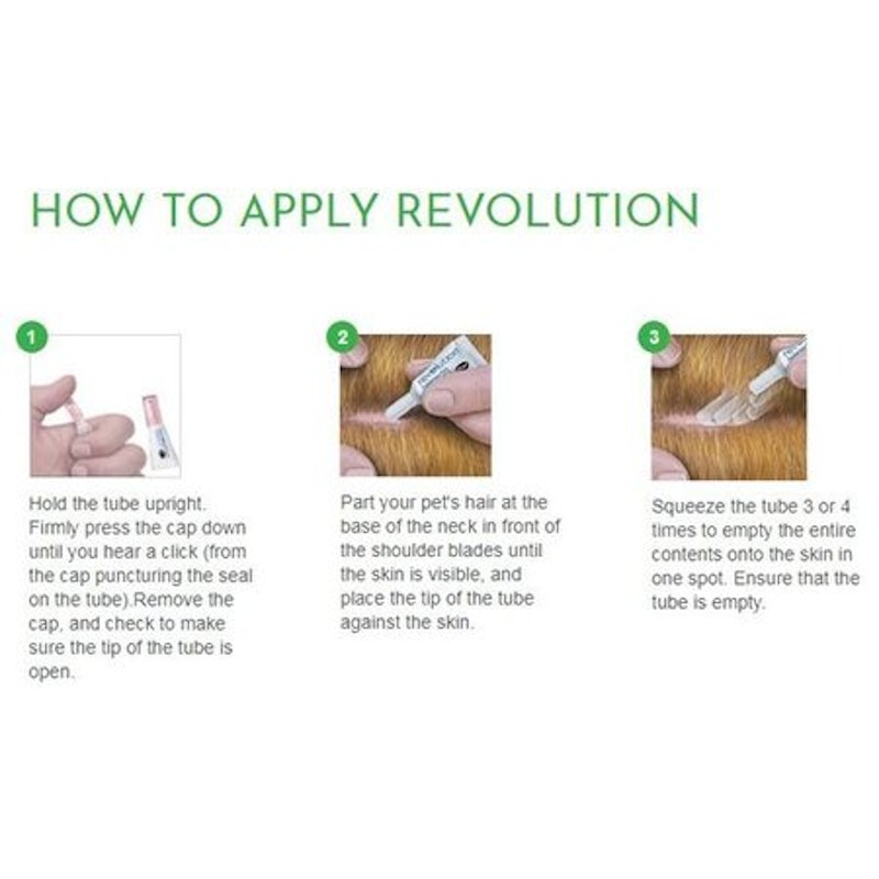 Revolution (selamectin) 4