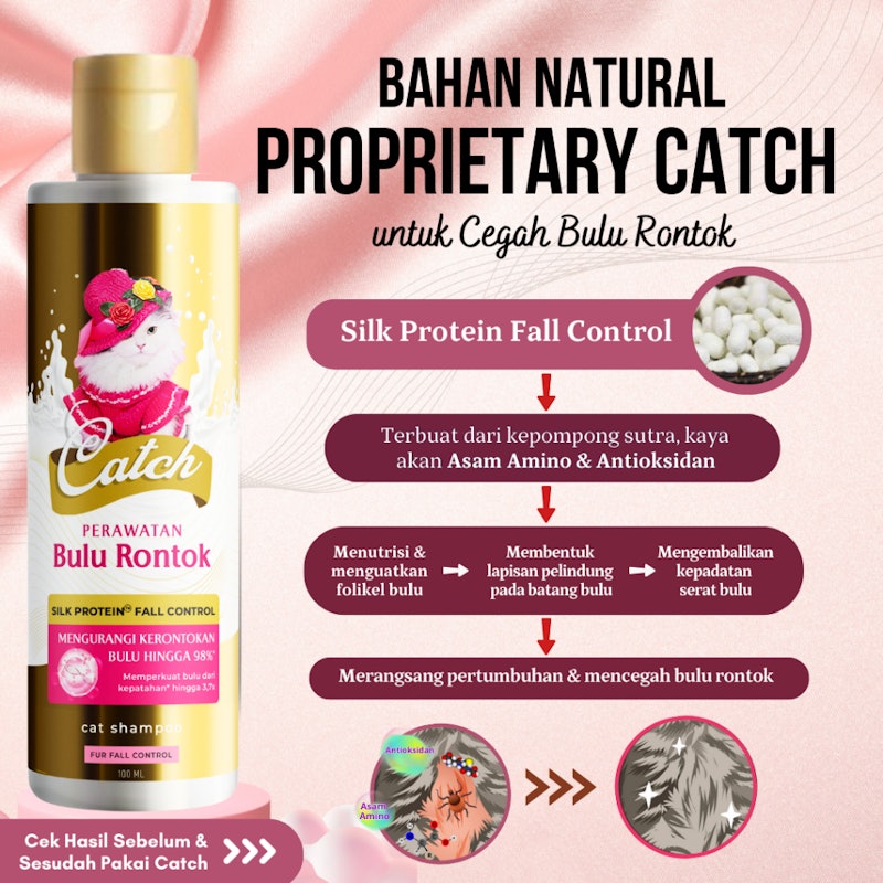 Catch Cat Shampoo for Fall Control 3