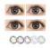 Qingmou Optical Technology Mysticeyes Softlens Grey Series 1