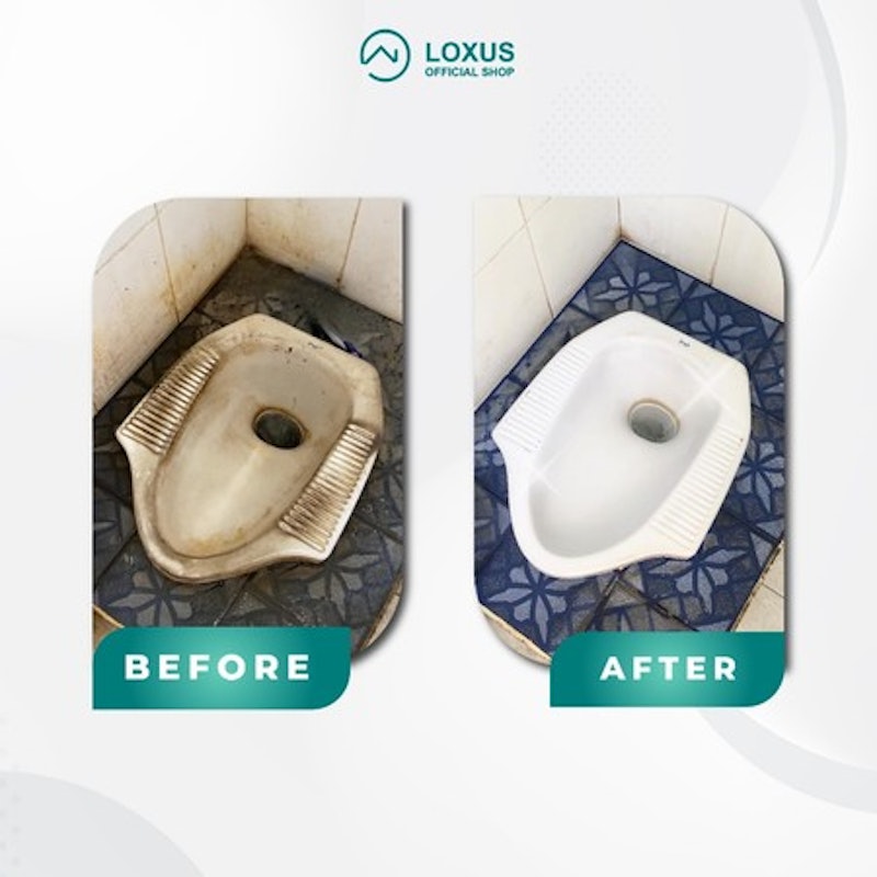 Loxus Cleaner 4