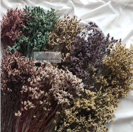 Preserved Limonium 2