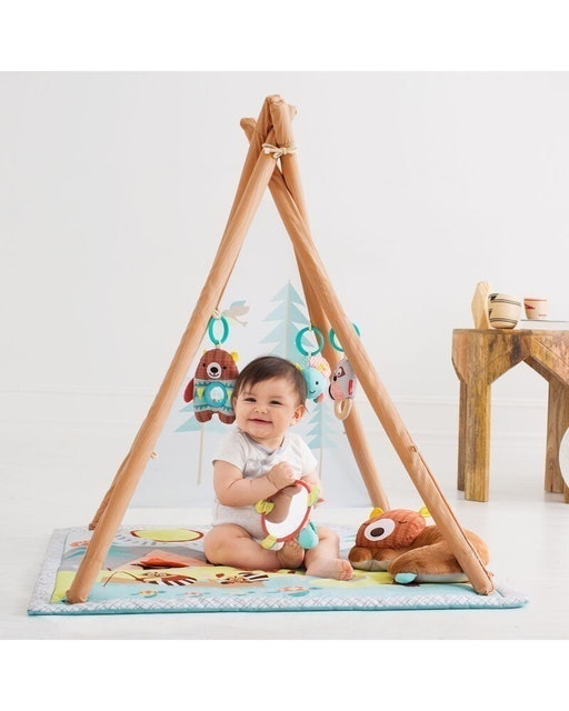 Carter’s Skip Hop Camping Cub Activity Gym
