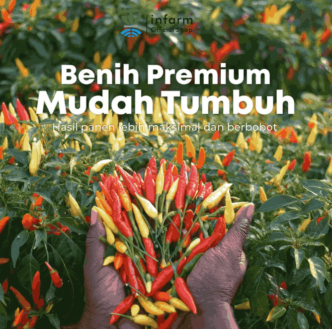 INFARM INFARM Cabe Rawit Min Cha