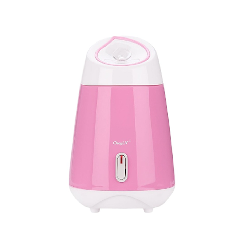 Face Steamer 1