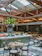 null Signatures Restaurant 1
