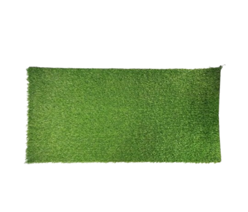 KFI Sport Rumput Sintetis Aquarium Jepang 100x50 cm 1