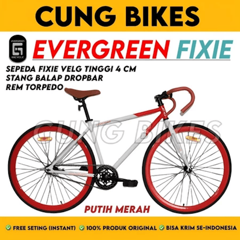 Evergreen Sepeda Fixie 700C 5