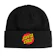Santa Cruz Classic Dot Patch Beanie Hat 1