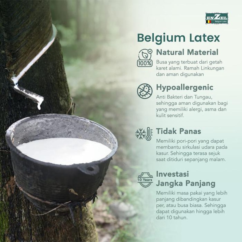 ENZEL Kasur Latex Kesehatan 3in1 dengan Sandaran 5
