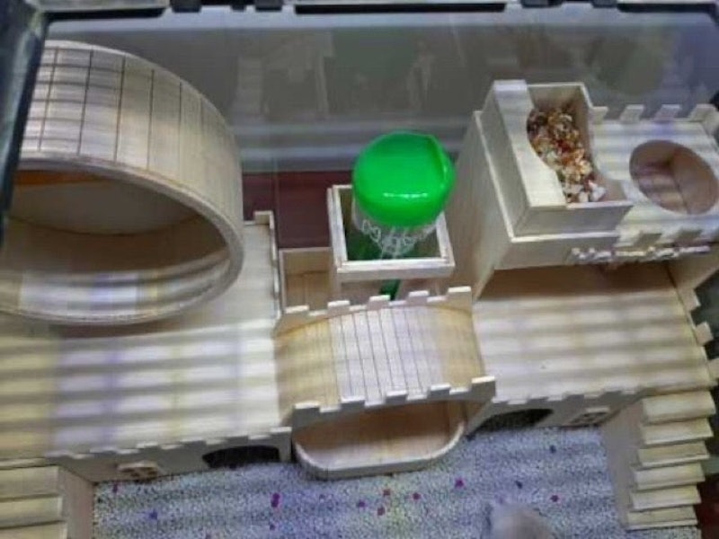 Terarium Kandang Hamster Mainan Kayu 4