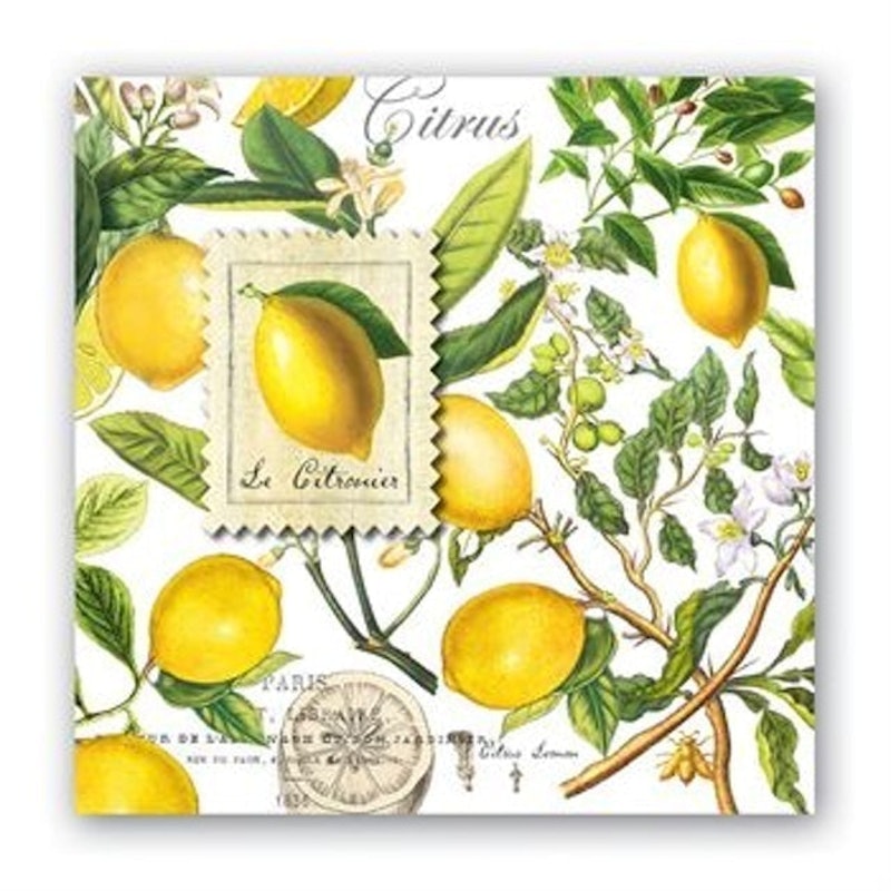 Cocktail Napkin 2