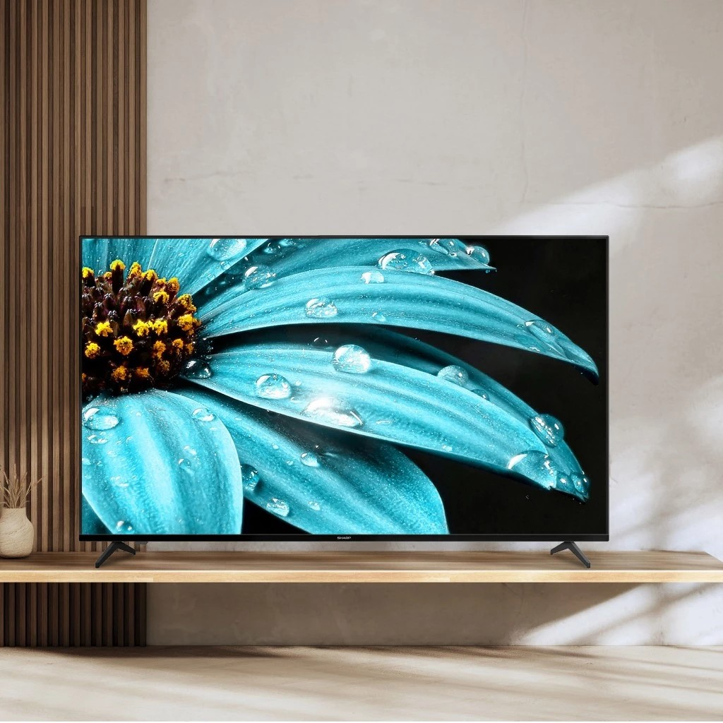 SHARP Electronics SHARP 65 Inch 4K UHD Google TV Frameless  4T-C65FJ1i 