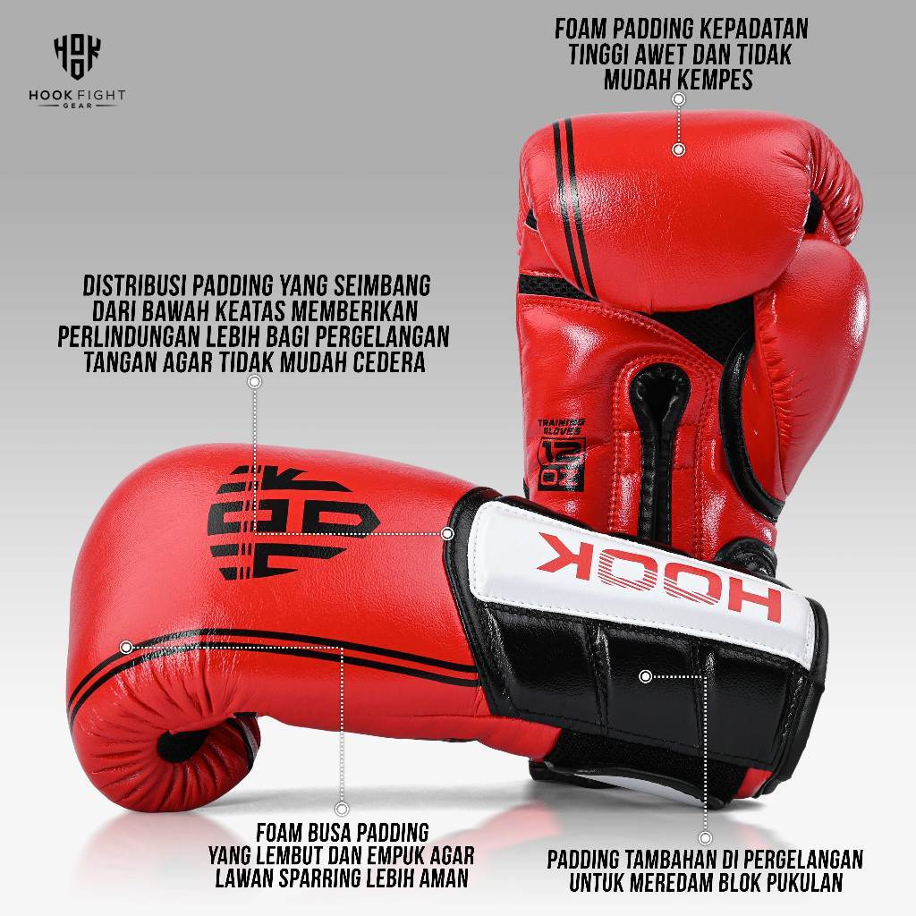  Hook Boxing Gloves HTG Fancy