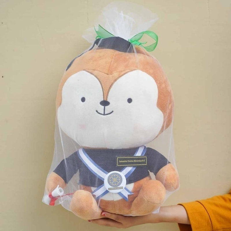 Boneka Wisuda DOTS 5