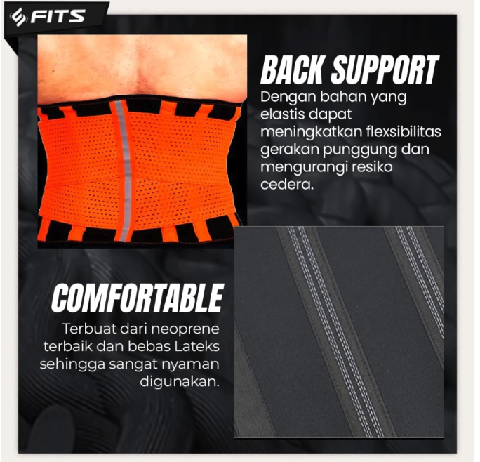 Global Indojaya Orion SFIDN FITS Waist Trimmer Trainer Belt