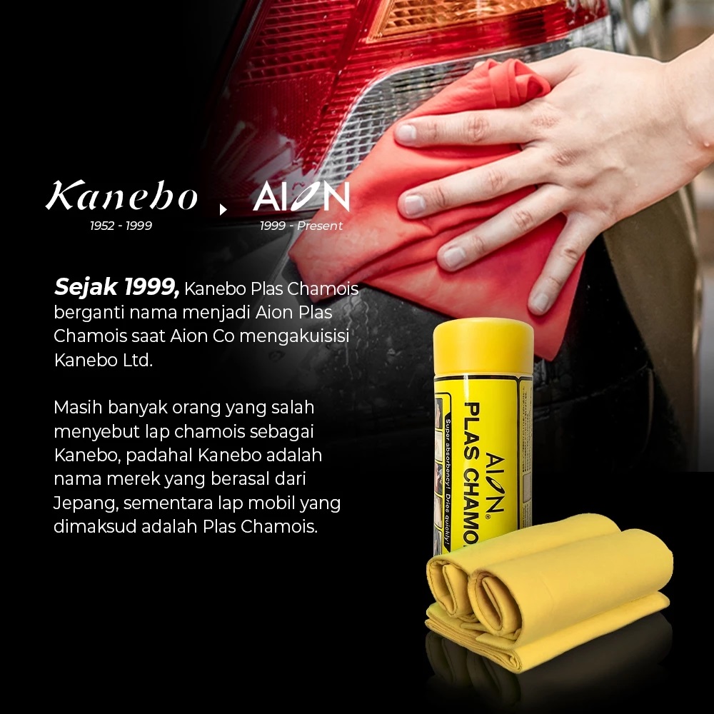 GAC Aion New Energy Automobile Aion® Plas Chamois