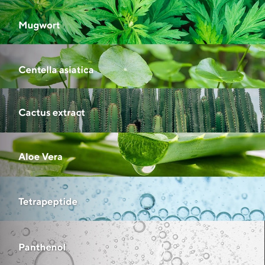 Triniti Tunggal Abadi True to Skin Mugwort Cica Soothing & Hydrating Essence Toner