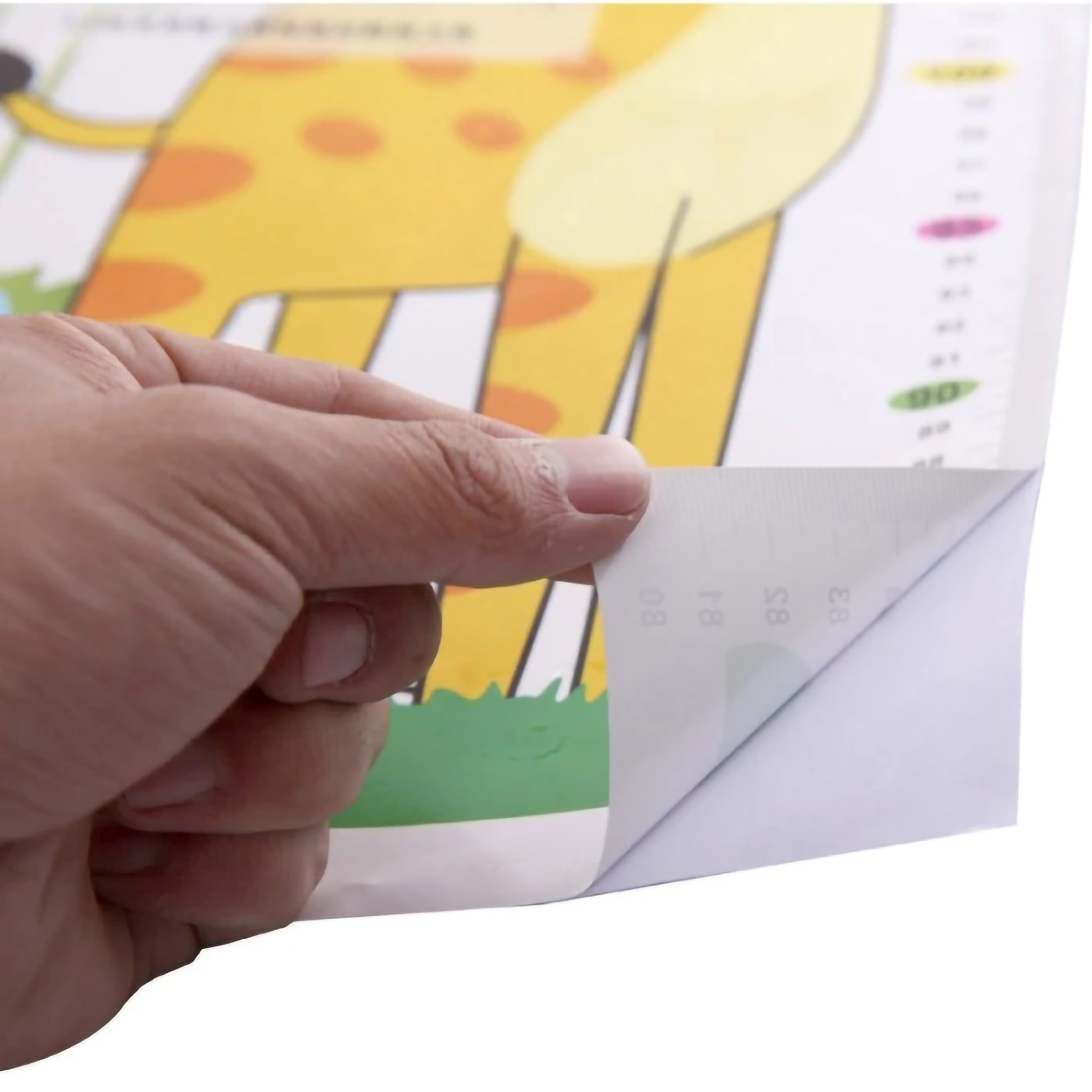  BabyToys Pengukur Tinggi Badan Anak