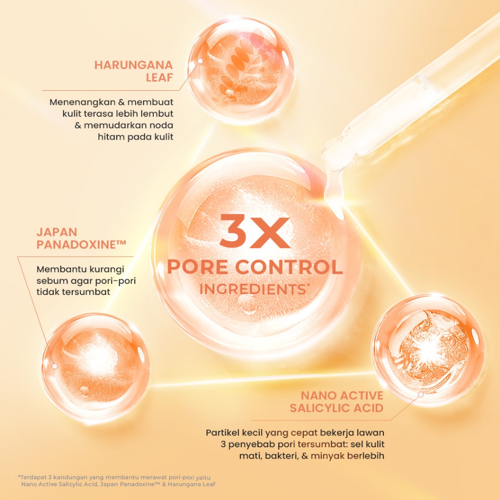 Eka Jaya Internasional Hanasui Power MiniPore Serum