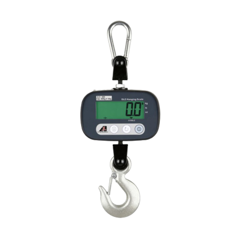 DLE Crane Scale 300 kg 1