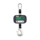 Altraman DLE Crane Scale 300 kg 1