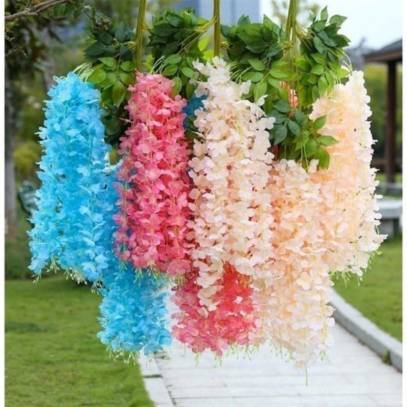 Wisteria Jumbo Daun Rambat 3