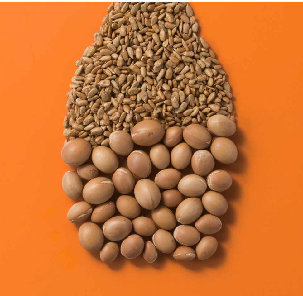 Johnson & Johnson OGX Keratin Oil Shampoo