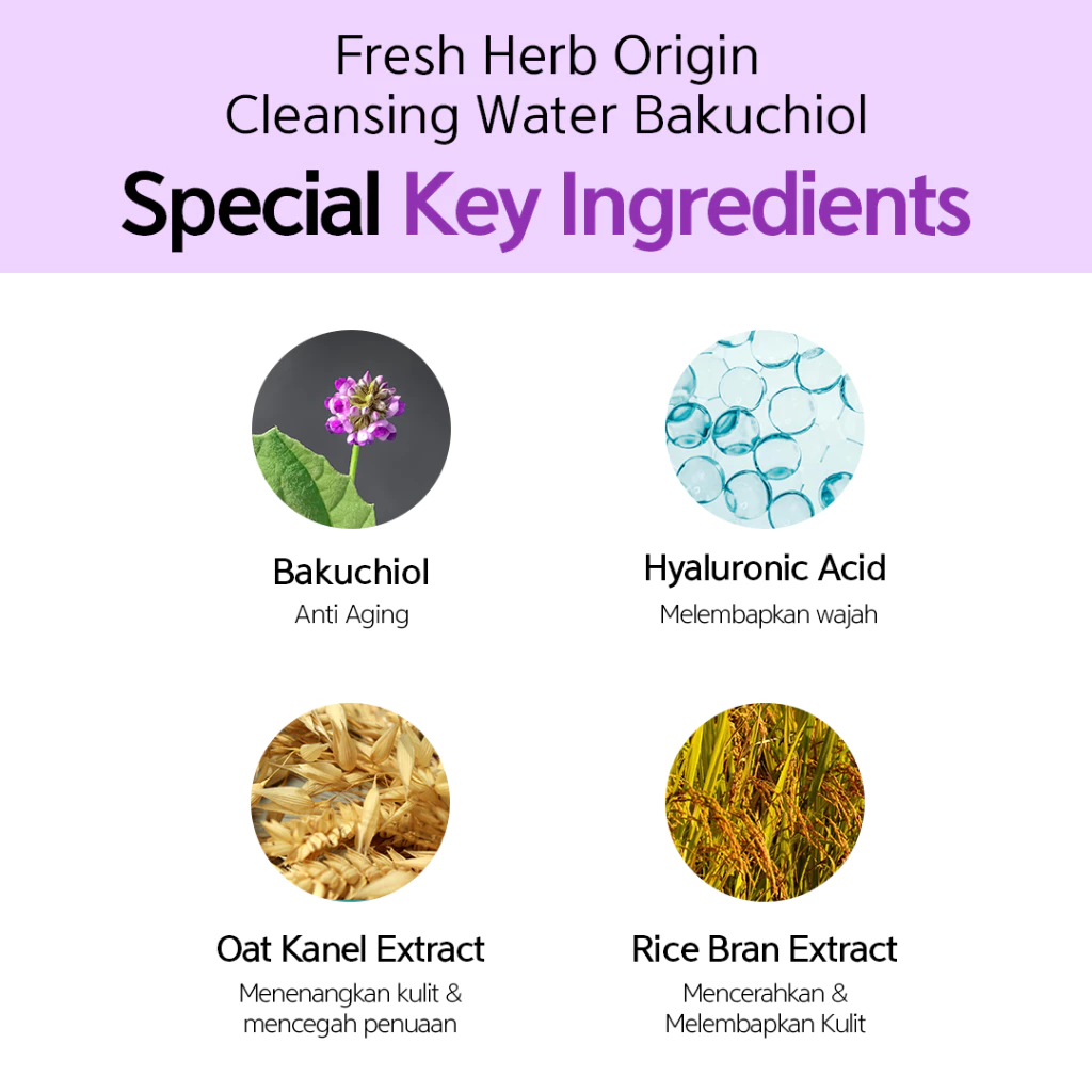 Abill Korea NACIFIC Fresh Herb Origin Cleansing Water Bakuchiol