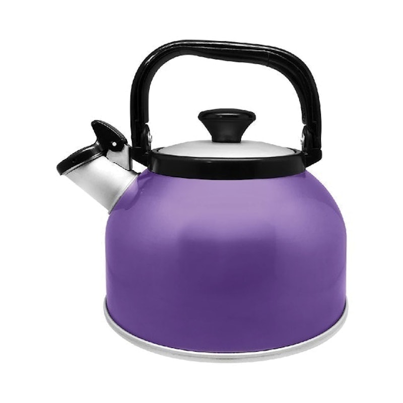 Rigoletto Anodize Whistling Kettle 3