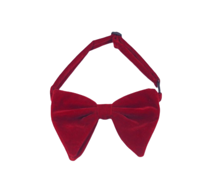 Bowtie Oversized Velvet 1