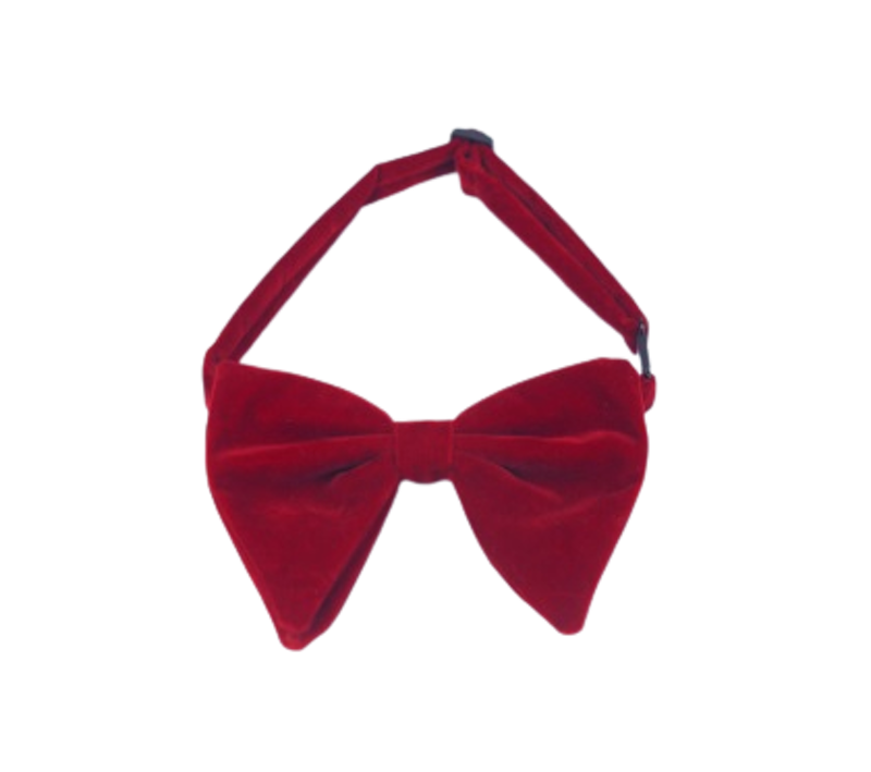 Bowtie Oversized Velvet 1
