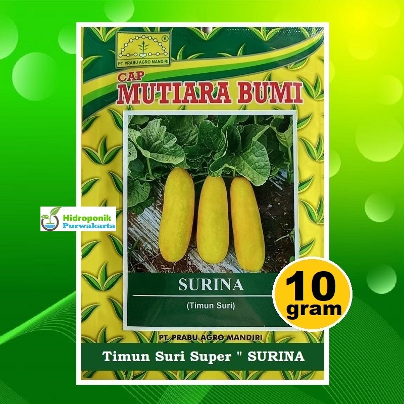Mutiara Bumi Benih Timun Suri SURINA 2