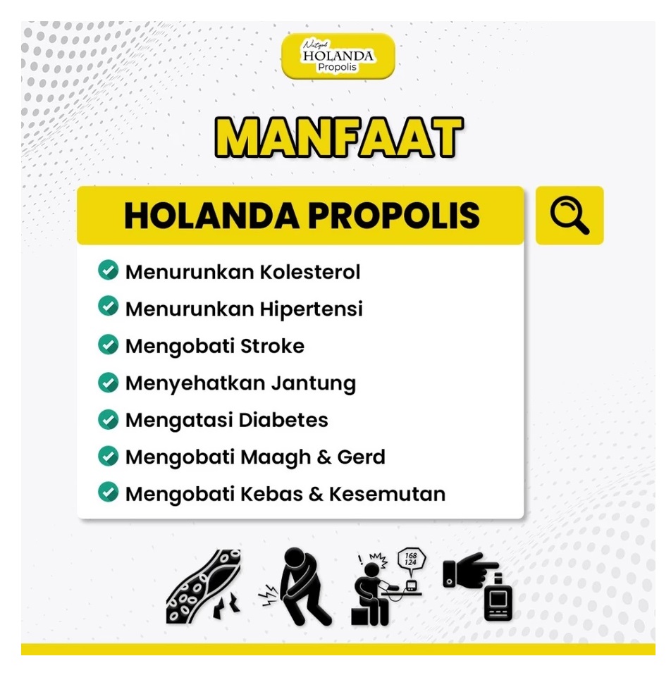  Nutqoh Holanda Propolis