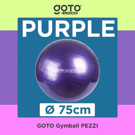 Pilar Niaga Makmur GOTO Gym Ball Pezzi