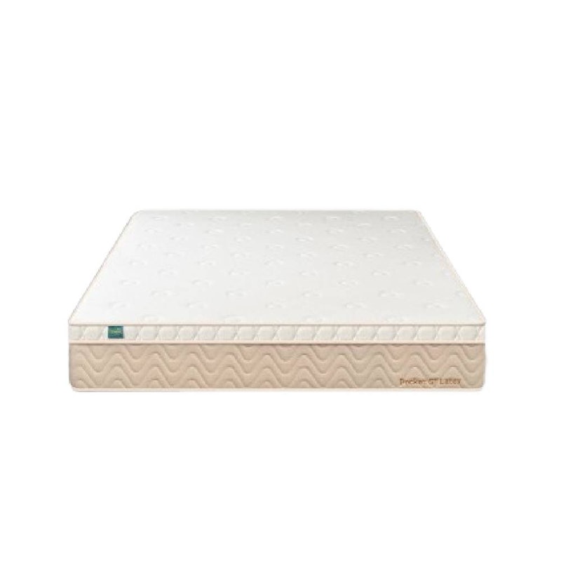 Quantum Pocket GT Latex Vakum 1
