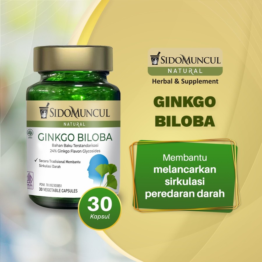 Sido Muncul Sido Muncul Natural Ginkgo Biloba