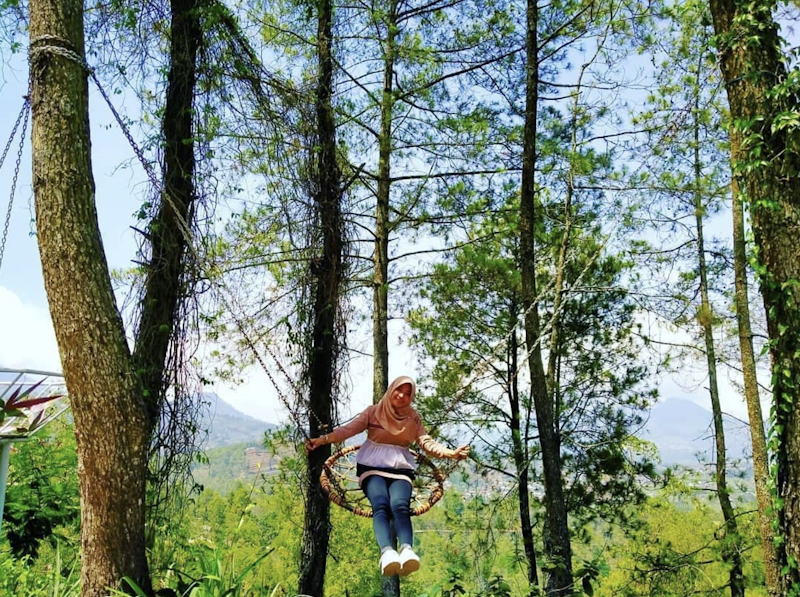 Taman Langit Gunung Banyak 4