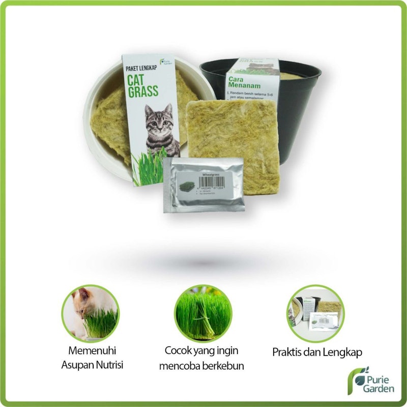 Purie Garden Paket Lengkap Rumput Kucing 3