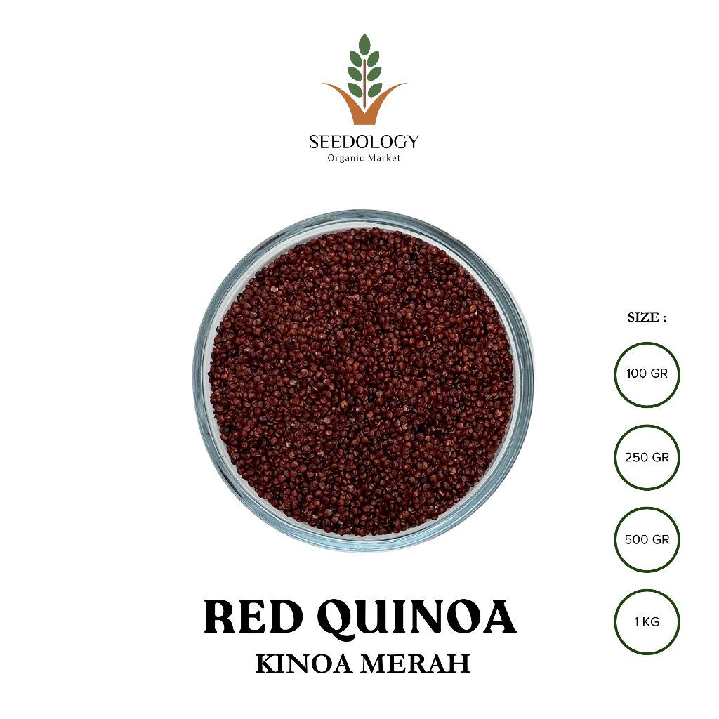 Seedology Organic Red Quinoa
