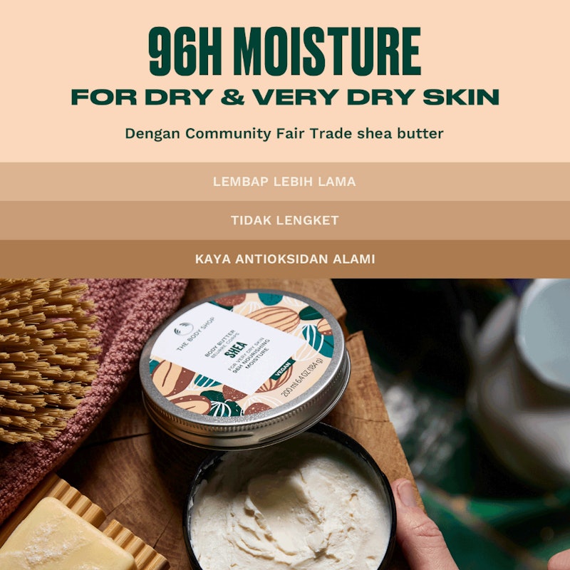 New Shea Body Butter 4