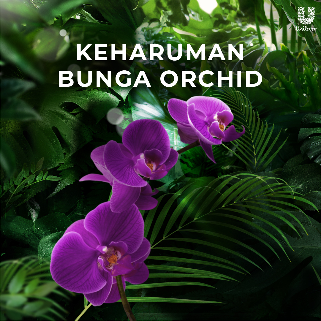 Unilever LUX® Botanicals Magical Orchid Sabun Batang