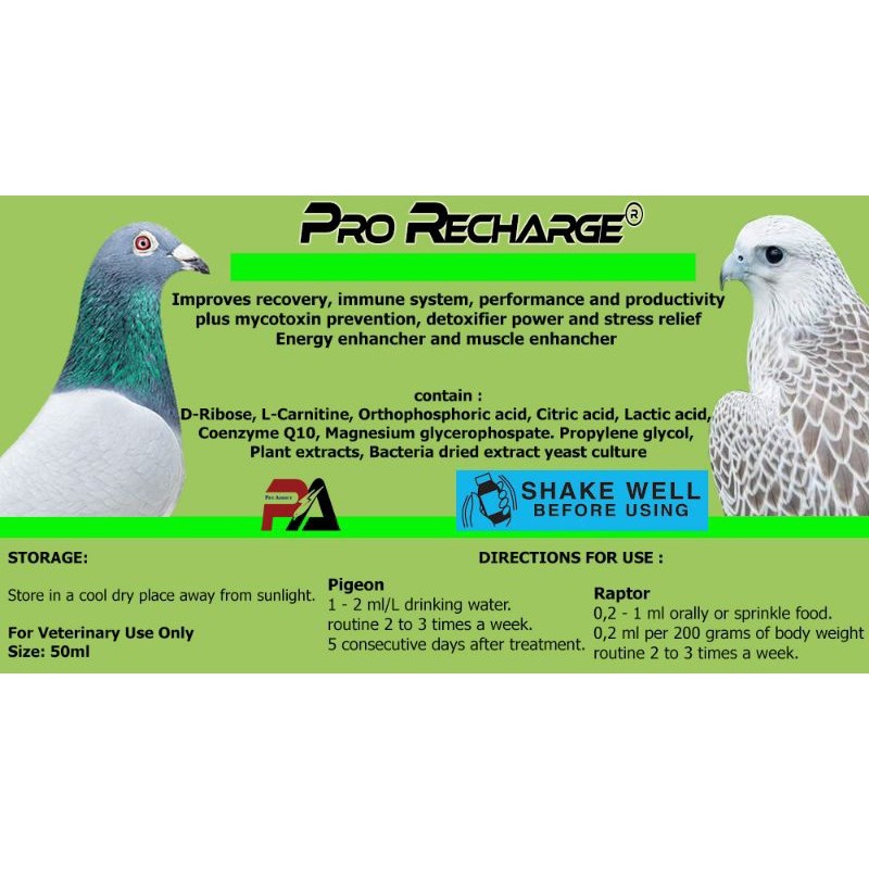 Pro Recharge 3