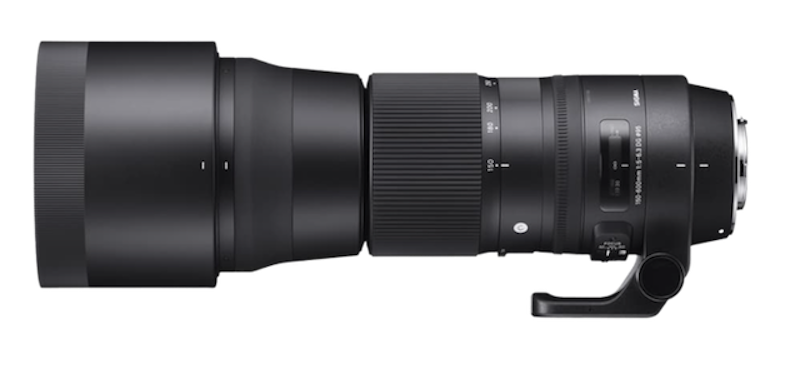 150-600mm F5-6.3 DG OS HSM | Contemporary Nikon F Mount 1