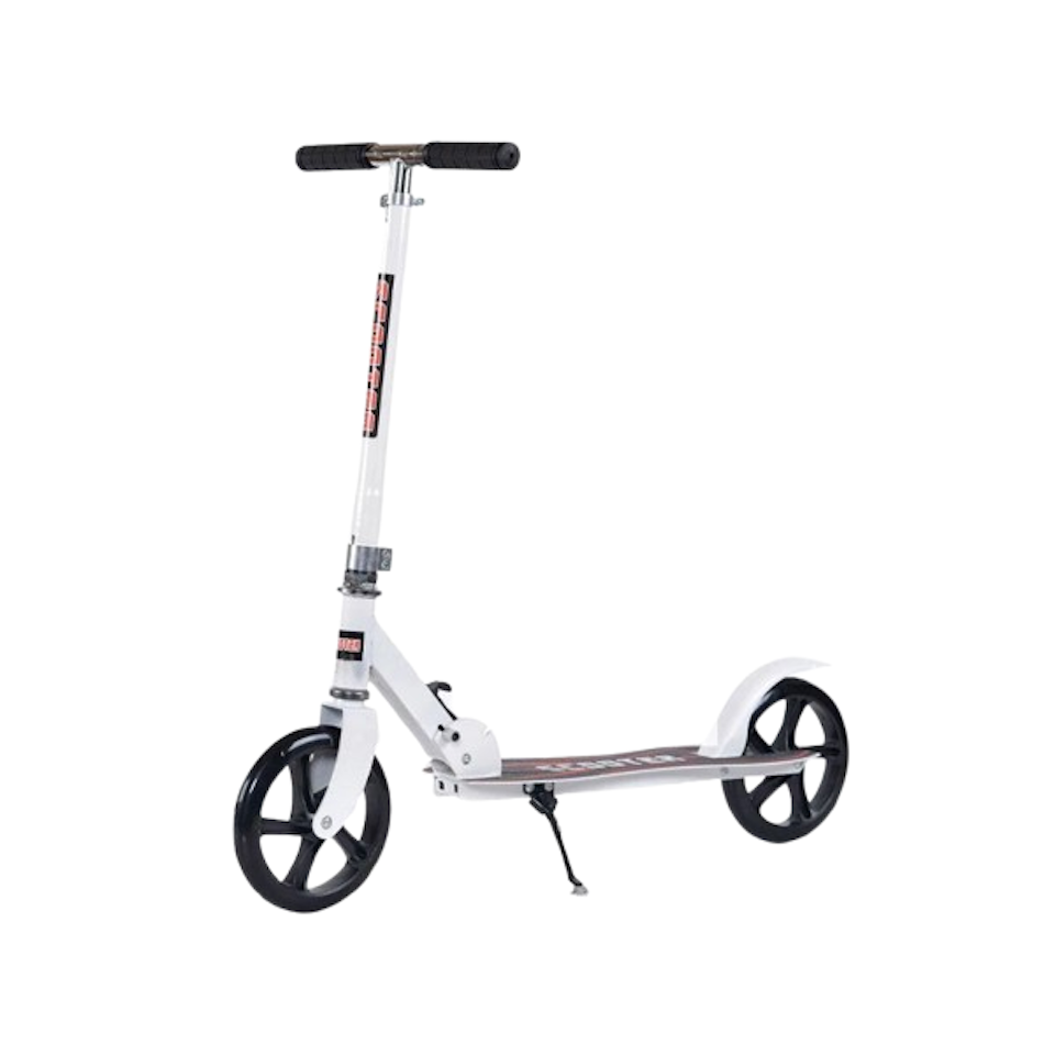 Alian Foldable Scooter 1