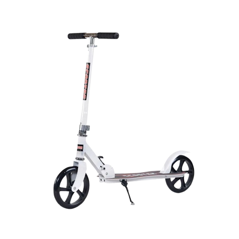 Alian Foldable Scooter 1