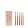 MUAQ MUAQ X JANUARY CHRISTY Detail Eye Brush Set 1