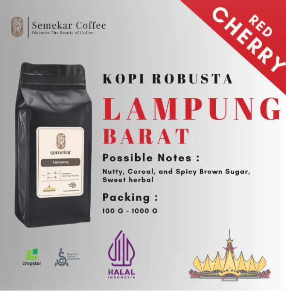 Semekar Kreatif Nusantara Semekar Coffee Lampung 100% Kopi Robusta 
