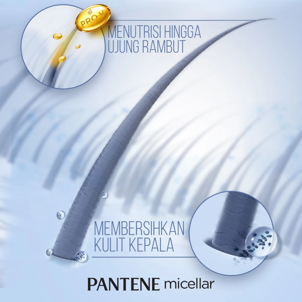 Procter & Gamble Pantene Micellar Algae Extract Detox and Purify Kondisioner